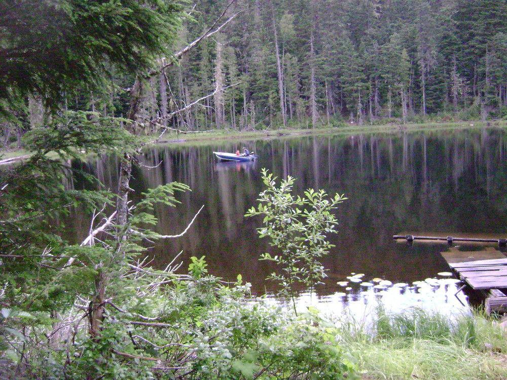 Blue River Cabins & Campgrounds Exteriér fotografie
